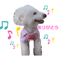 saya_20210127203700