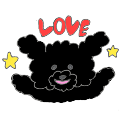 Black Toy Poodle :)