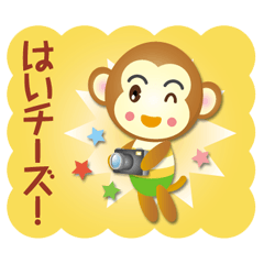 mini monkey boy