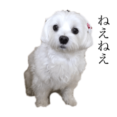 natsumi_20210127200133