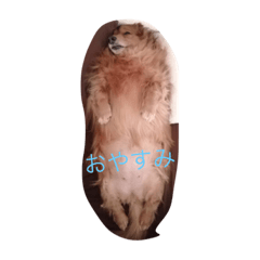 yukari_20210127234059