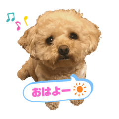 Risa_20210127235001
