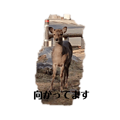 hana_20210128111533