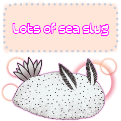 各種海蛞蝓　vol.1