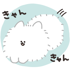 Gentle Pomeranian White