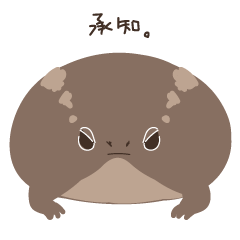 common rain frog-MAMEKICHI