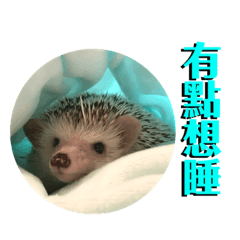 吃可愛長大的歐同學！