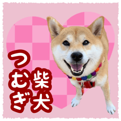 Sticker for Shiba Inu owner