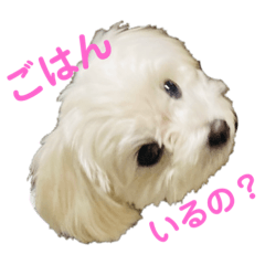 junko_20210127220227