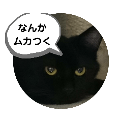 puritarou_20210127224140