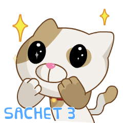 Choco Cat - Animated Sachet 3