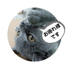 puritarou_20210128124218