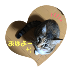 yuka__minto