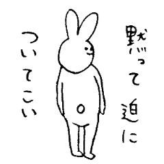 Rabbit's name is Sako