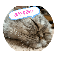 puritarou_20210128145029