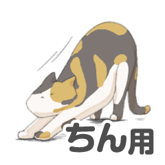 tortoiseshell cat's sticker for Chin