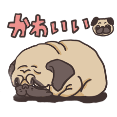 可愛いいい パグの日本語バージョン Line スタンプ Line Store 可愛いいい パグの日本語バージョン Line スタンプ Line Store