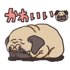 CUTEEE  PUG Japanese Ver.