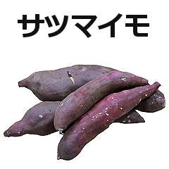 Sweet potato is Satsumaimo.