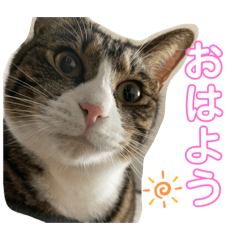 Yukka___