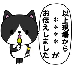 猫の子カスタム(黒色ハチワレ)