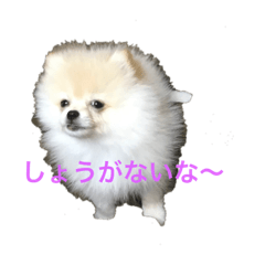 c_20210128204009