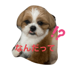 もぐただよ
