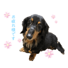 KANAE_20210128235003