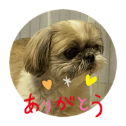 KA-ZU_20210128213612