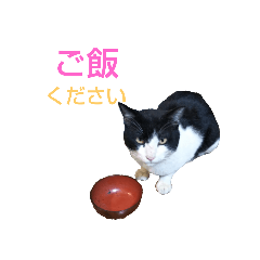 akiko_20210128213636