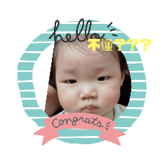 妞妞的日常好快樂