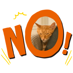 寵物粉專屬貼圖