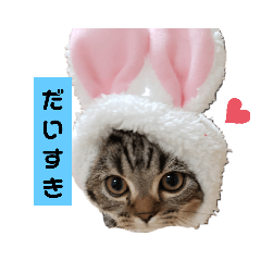 nanami_20210128221546