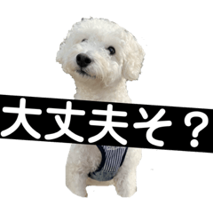 EIJI MIKAMI_20210129000044