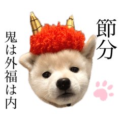 白豆柴の男の子 名前は琥珀 Line スタンプ Line Store 白豆柴の男の子 名前は琥珀 Line スタンプ Line Store