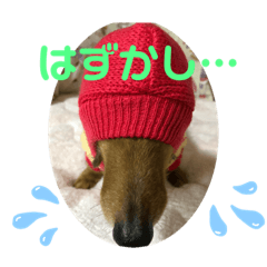 higashi-nachou_DOGstamps4