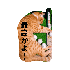 taki_20210129101725