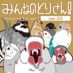 Various birds 03