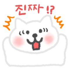 Cat Stickers in Korean language 2