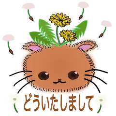 cute flower cats