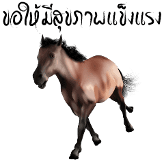 Mha Choke Dee (Horse Good Luck)