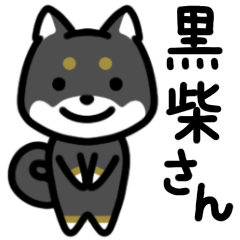 Black Shiba Inu Sticker:3