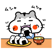 daily life hamchan