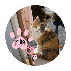 NATSUMI_20210129161737