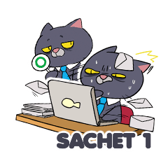 Workcatholic - Sachet 1
