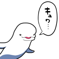 talking beluga whale