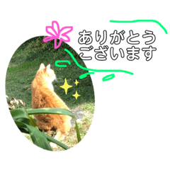 ALICE_20210129174859