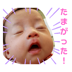 Saya_20210129193607