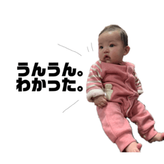 うちのきこちゃん第二弾