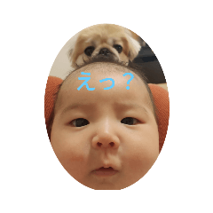 Ayumi_20210129201807